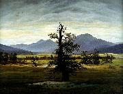 Caspar David Friedrich Village Landscape in Morning Light oil painting artist